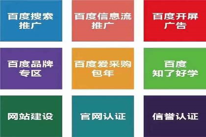 百度搜索推广实战案例：揭秘高效推广背后的秘密